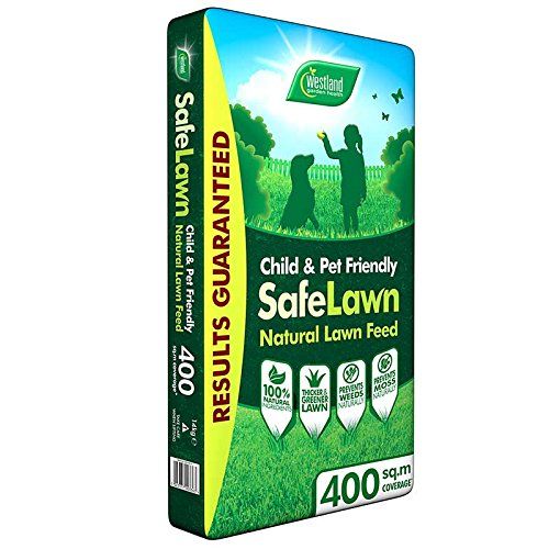 Pet Friendly Lawn Fertilizer - Using pet safe fertilizer for lawns and